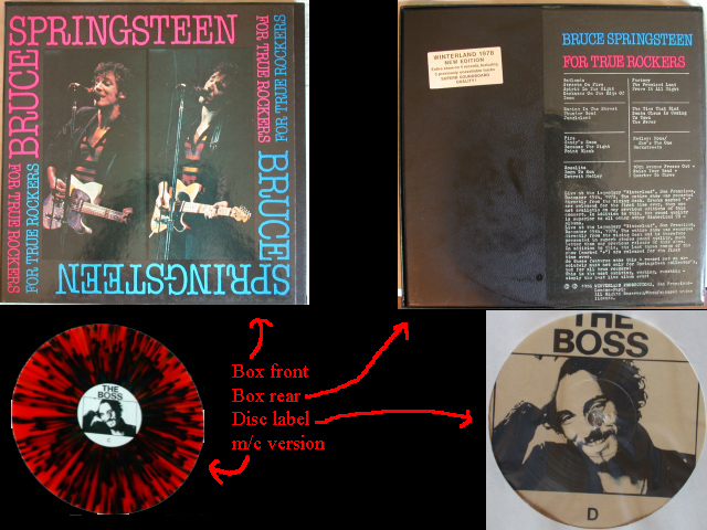 Bruce Springsteen - FOR TRUE ROCKERS